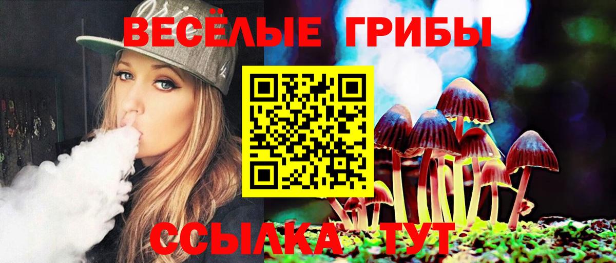Псилоцибиновые грибы MAGIC MUSHROOMS Дзержинский