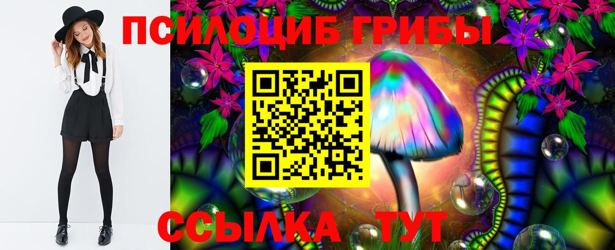 Дзержинский  Галлюциногенные грибы Magic Shrooms  цены   Вход с VPN 